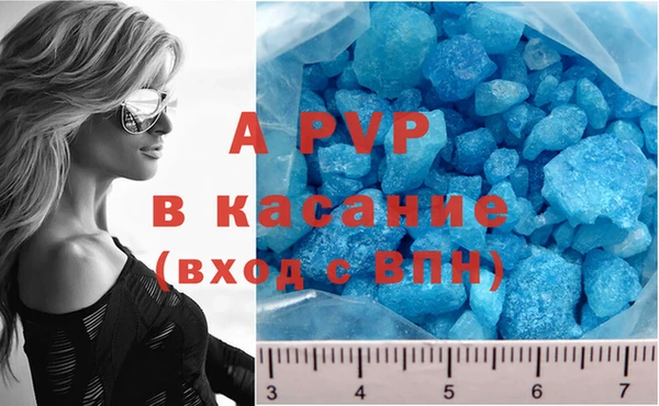 сатива Осташков